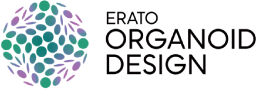 ORGANOID DESIGN